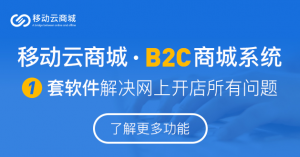 b2c商城系统